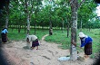 Tây Gio Linh, những bước đi quyết định